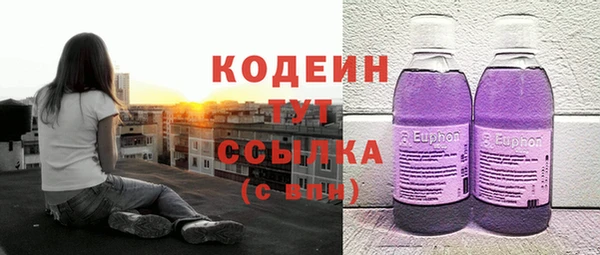 дурь Пересвет