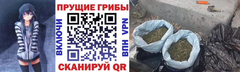 Псилоцибиновые грибы Psilocybine cubensis  как найти   кракен зеркало  Городище 